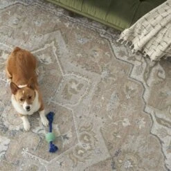 Nourison Astra Machine Washable Vintage Medallion Indoor Rug -Home Decoration Series GUEST 000743b1 2598 4925 aa8c 706cee1ed8f9