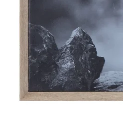 38.7" X 28.7" Donkey On Canvas Framed Wall Art Black/White -Storied Home -Home Decoration Series GUEST 0771d31f 0ee7 4002 bf45 b09f39fd945f