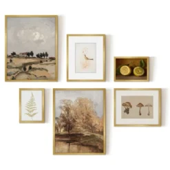 Americanflat 6 Piece Vintage Gallery Wall Art Set - Fall Study, Autumn In The Hills, Mushrooms, Light Bird, Fern Frond By Maple + Oak -Home Decoration Series GUEST 135277bc 3e48 403e 9a12 16f5b4c4e3fd