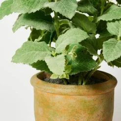 Artificial Potted Mint Leaf - Threshold™ Designed With Studio McGee -Home Decoration Series GUEST 19a08200 78b7 461e bcd9 c962450d4305