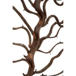 Wood Tree Branch Wall Decor With Black Frame Brown - Olivia & May -Home Decoration Series GUEST 2762e4fc 4918 4436 9821 13532bfe3f0e