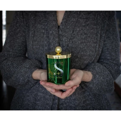Ukonic Harry Potter House Slytherin Premium Scented Soy Wax Candle 7 Ukonic Harry Potter House Slytherin Premium Scented Soy Wax Candle - Image 5