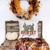 City Creek Prints Country Pumpkin Cactus Canvas Pillow Cover - Natural