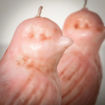 3.5"H Sullivans Pink Bird Candles - Set Of 2, Pink 3 3.5"H Sullivans Pink Bird Candles - Set Of 2, Pink