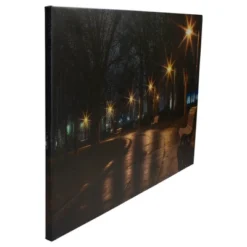 Northlight LED Lighted Nighttime City Park Scene Canvas Wall Art 23.75" -Home Decoration Series GUEST 6cf1b765 1f6a 4971 b7e3 0dace5ec683e