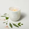 Serenity Core Frosted Glass Candle White - Casaluna™ -Home Decoration Series GUEST 7ef597a3 c90f 4a71 912f 36e15544255e
