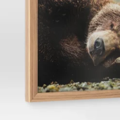 20" X 16" Bear Photography Framed Art Brown - Threshold™ -Home Decoration Series GUEST 8d29808a 8d0a 4121 a8c8 64d15cc45658