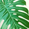 RightSide Designs Tropical Green Monstera Indoor/Outdoor Lumbar Throw Pillow