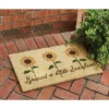 Park Designs Spread Sunshine Doormat 1'6''x2'6''