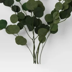 Preserved Eucalyptus Bundle - Threshold™ -Home Decoration Series GUEST c7dd4b87 faec 4ba4 94c4 c0953dd894d7