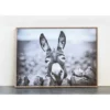 38.7" X 28.7" Donkey On Canvas Framed Wall Art Black/White -Storied Home -Home Decoration Series GUEST d3f01406 c331 4037 b80e 9385723d6ef1