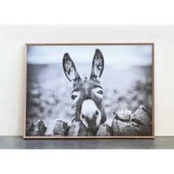 38.7" X 28.7" Donkey On Canvas Framed Wall Art Black/White -Storied Home