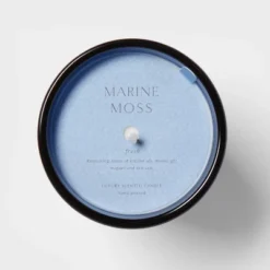 Colored Vase Glass With Dustcover Marine Moss Candle Blue - Threshold™ -Home Decoration Series GUEST e5035607 20cd 4e66 bc9b 502503c48b69