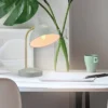 15" Willow Desk Lamp With Pivoting Shade Matte Green - Globe Electric -Home Decoration Series GUEST f8a9f47b 3583 47bd aca8 9a6f2caa3ae2